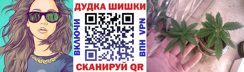где купить наркотик  Учалы  Бошки Шишки AK-47 
